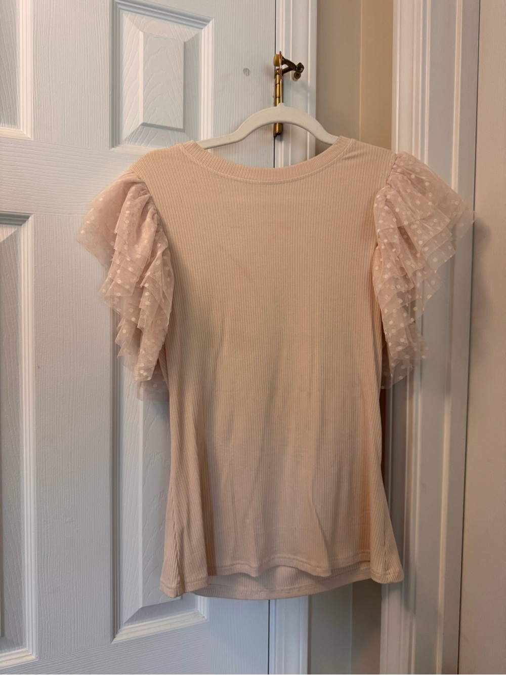 Source Unknown Dotted Tulle Ruffle Sleeve Top in Blush
